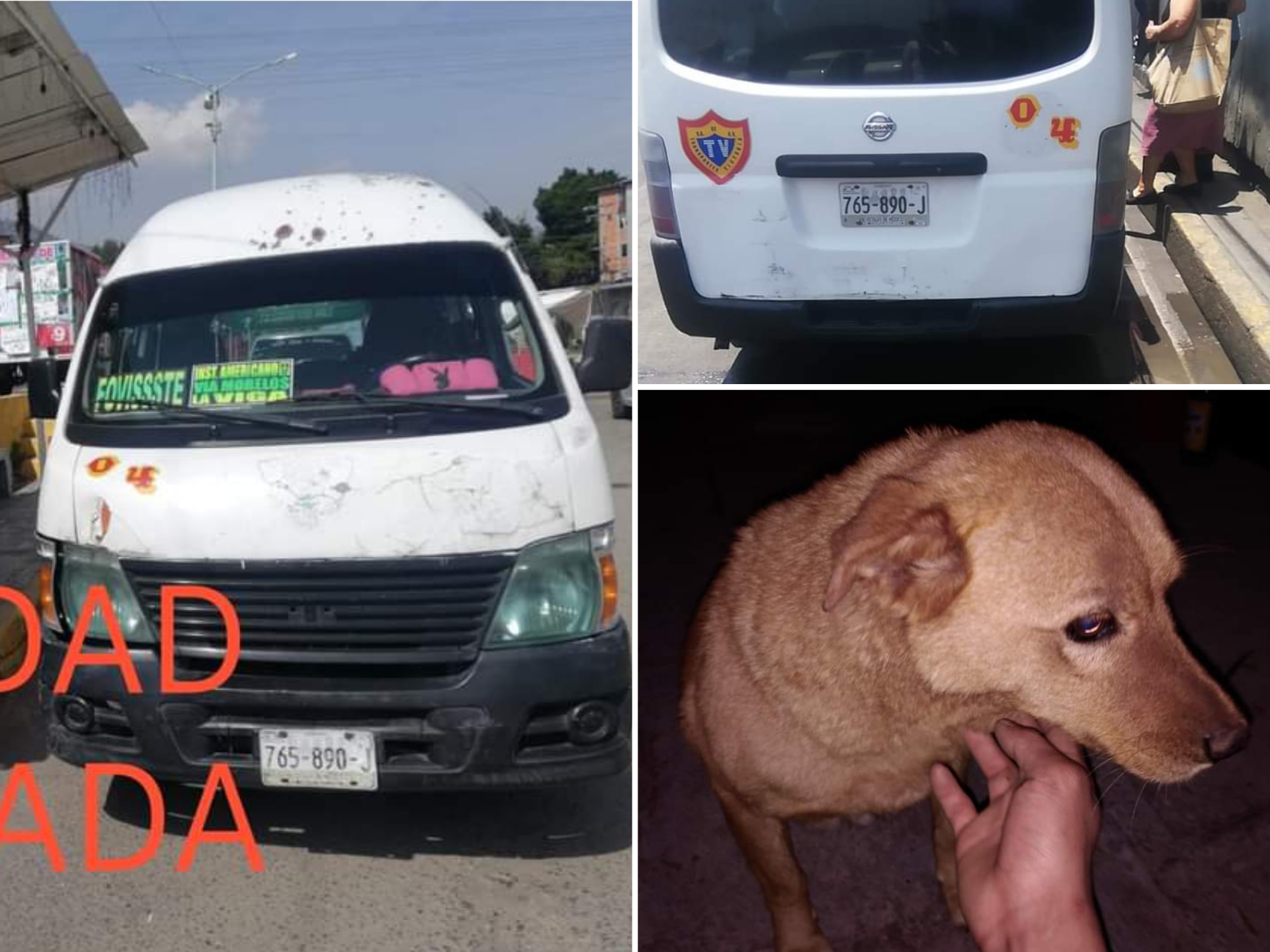 Le roban combi con todo y perro en Tecámac #regionmx 