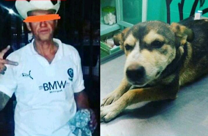 Cachorra muere tras ser golpeada y violada; presunto responsable podría quedar en libertad #regionmx
