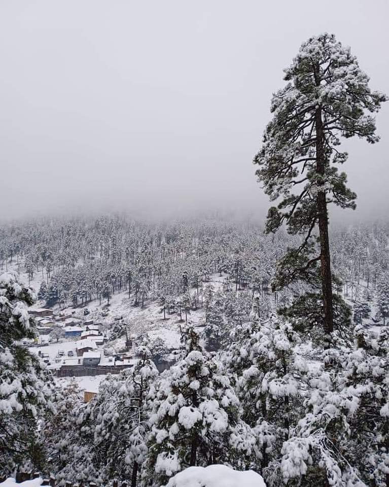 En dos localidades de Guanaceví se presentó nieve, así como caída de agua nieve en algunas comunidades de Tamazula, en Durango.
