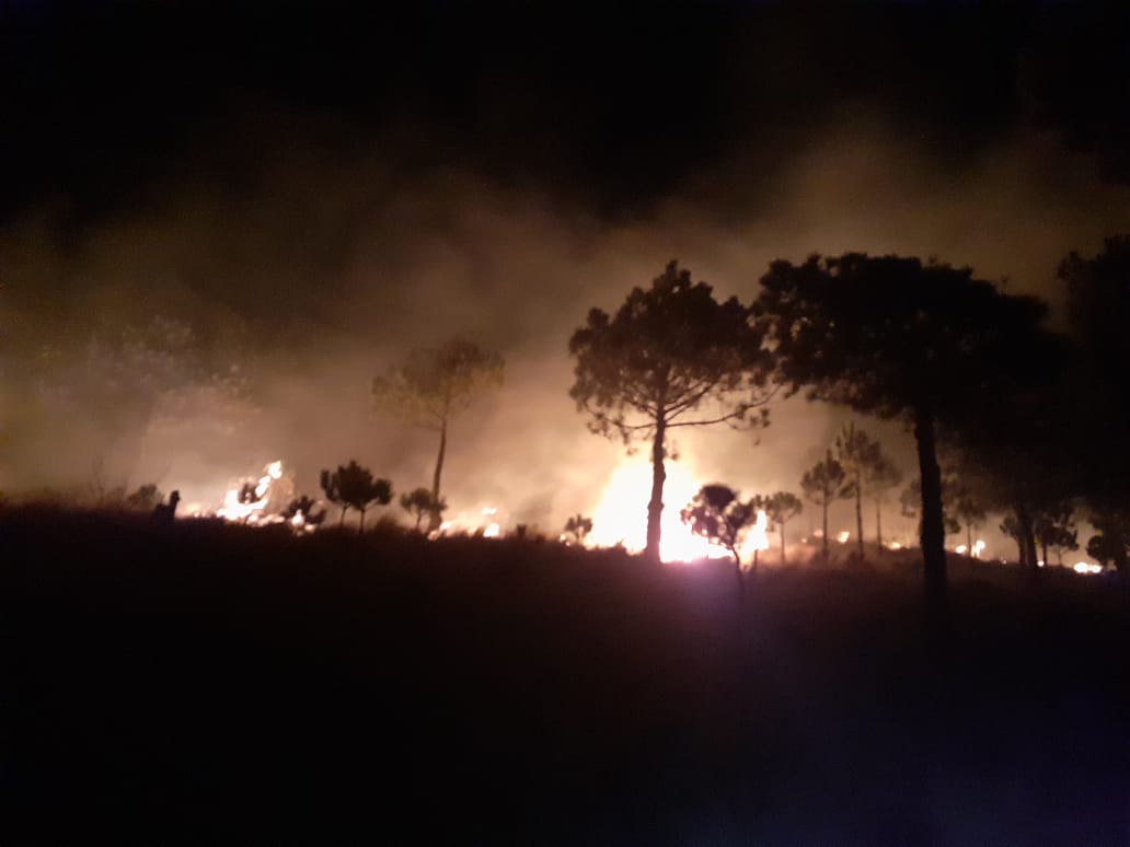 Cerro del Ajusco sufre incendio #regionmx