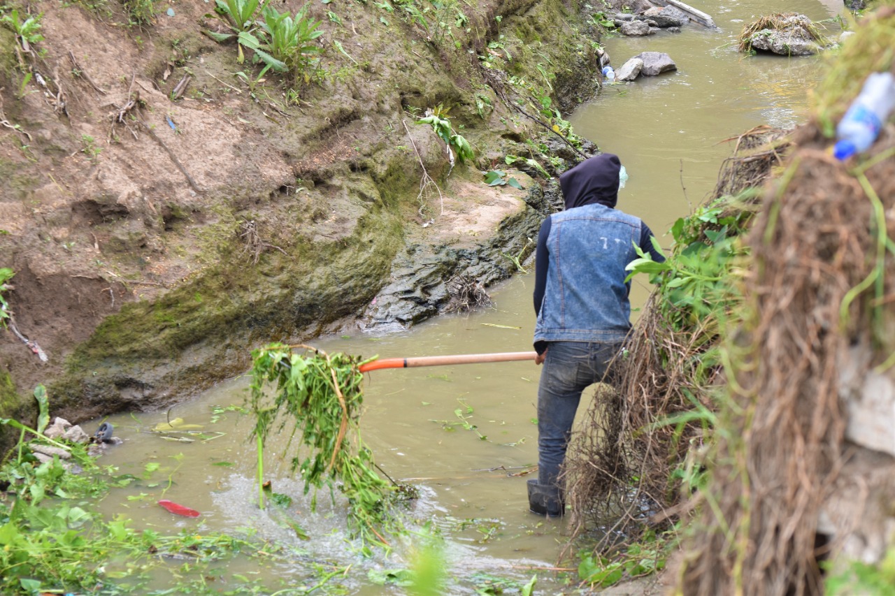 SAPASA realiza trabajos para prevenir y aminorar inundaciones #regionmx 