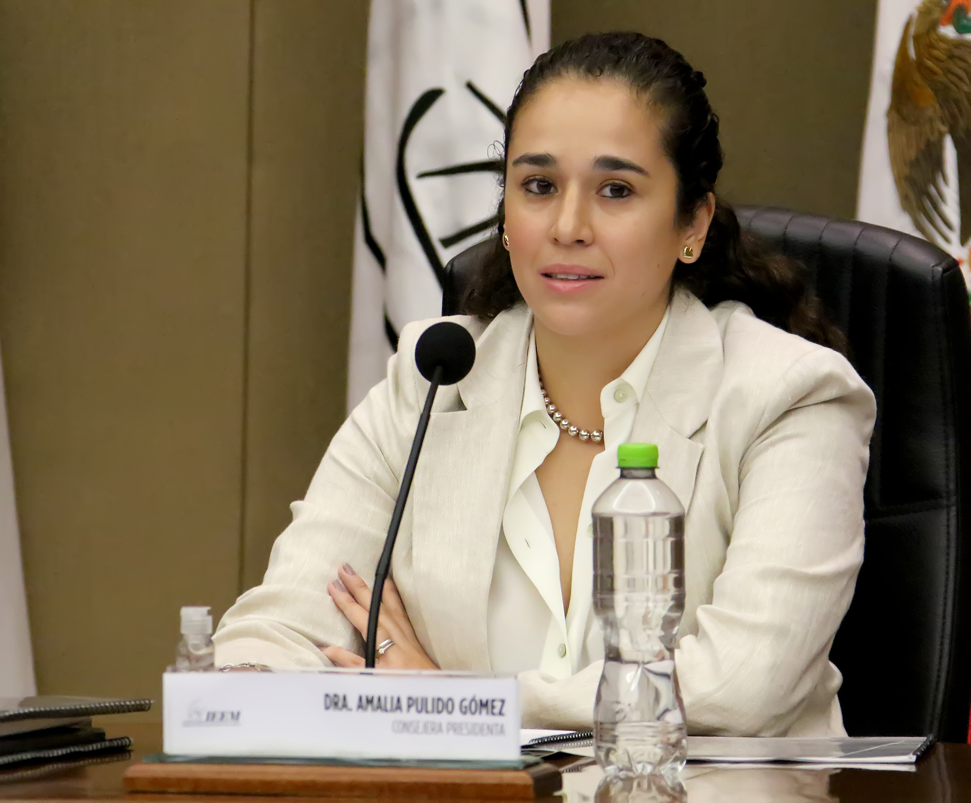 Amalia Pulido Gómez es la nueva presidente del IEEM por 7 años, ¿quién es? #regionmx