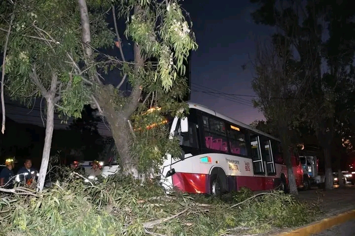 Mexibús se "estampa" contra árboles y deja varios lesionados #regionmx