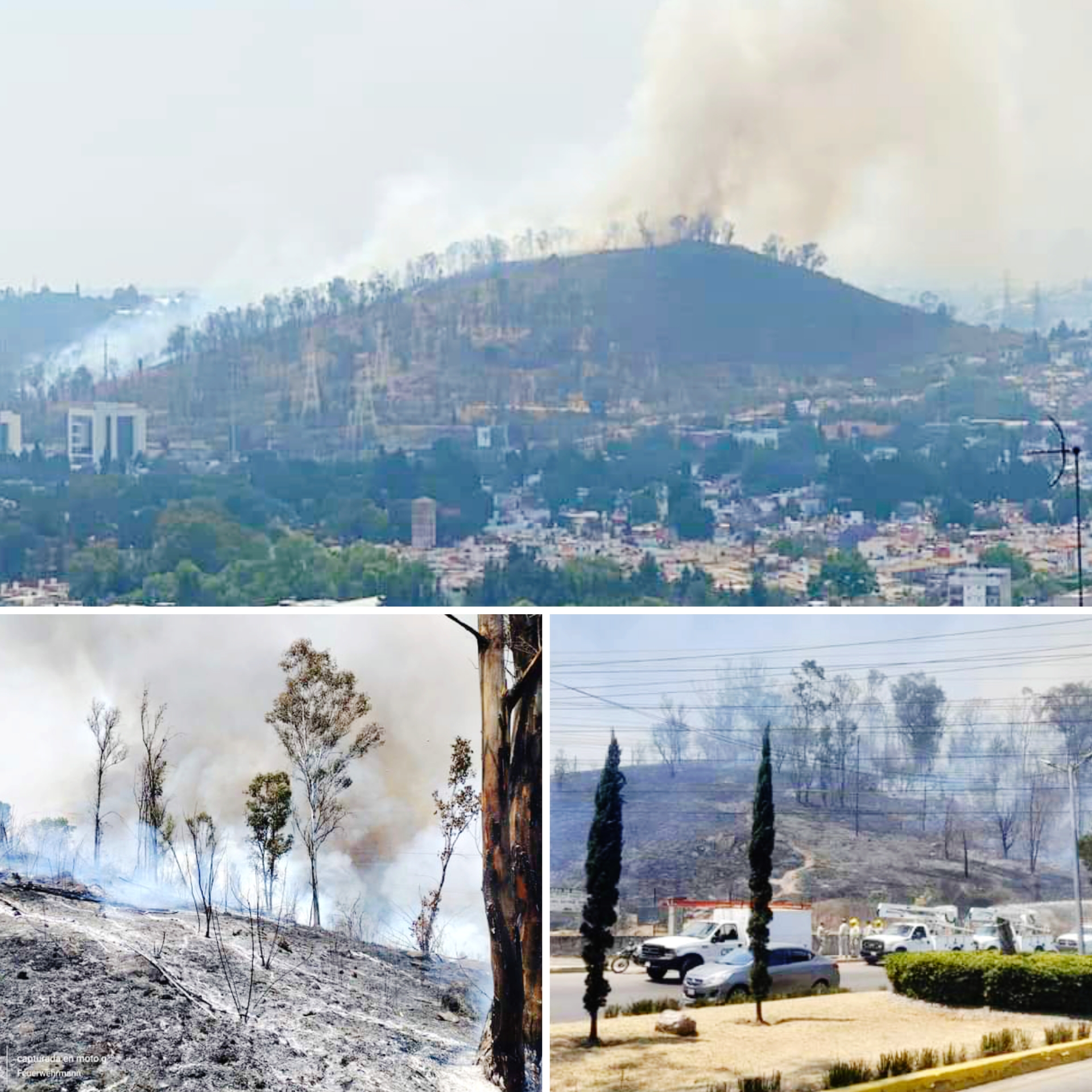 Arde el Cerro de Moctezuma uno de los últimos pulmones en Naucalpan #regionmx 