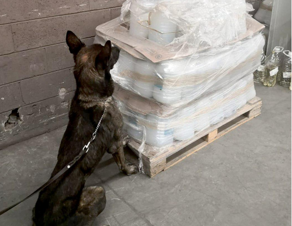 Binomios caninos hallan cargamento con 960 litros de droga en Tepotzotlán #regionmx