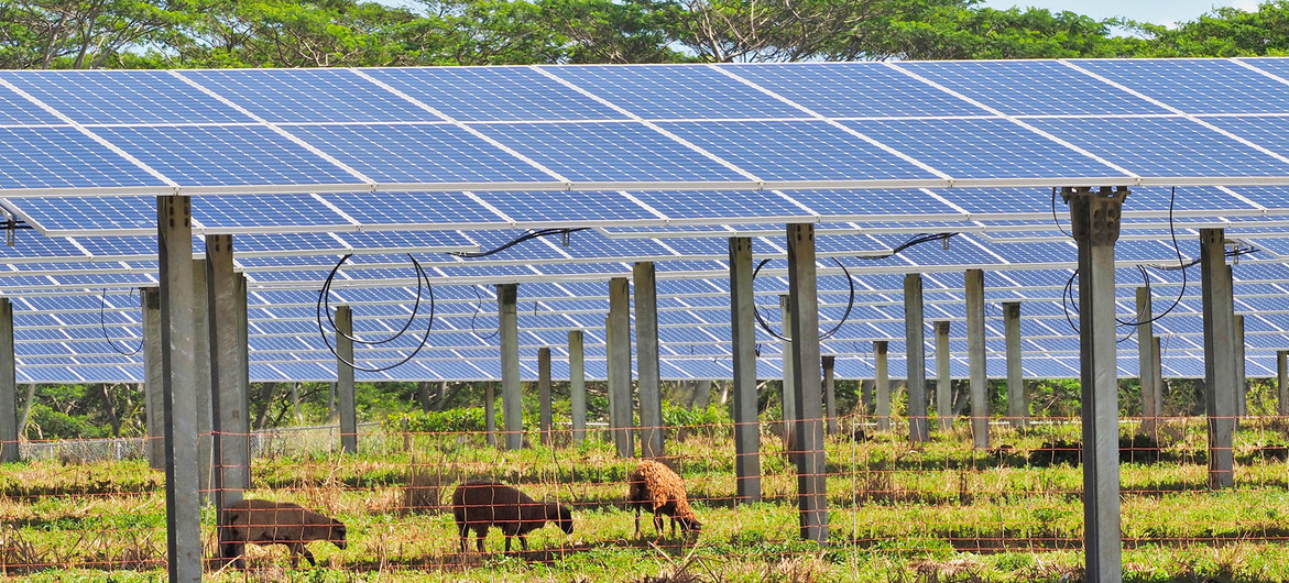 Hawai se encamina a generar el 100% de su electricidad a través de fuentes renovables #regionmx