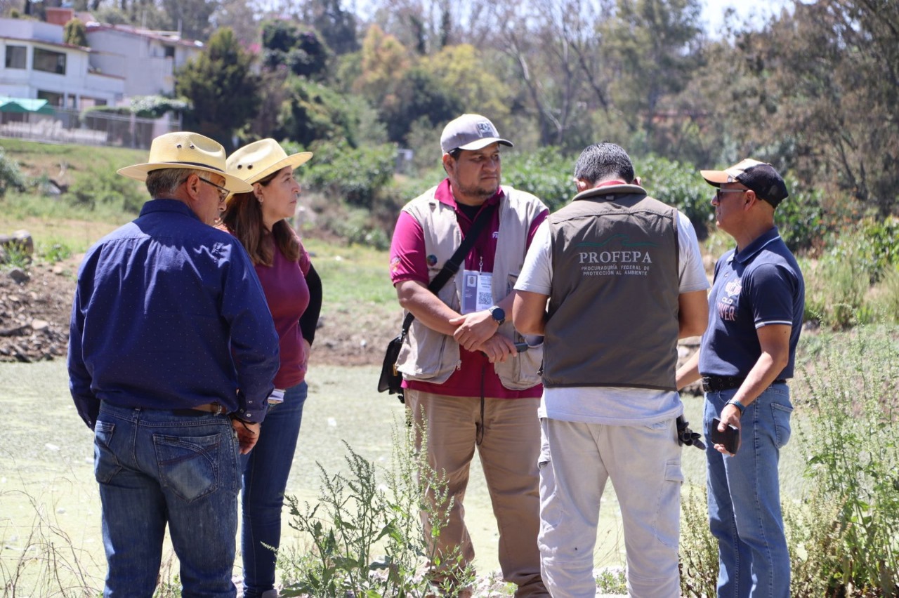 Localizan diques irregulares en la Presa de Guadalupe #regionmx