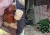 Abandonan a bebé embolsada en Ecatepec #regionmx 