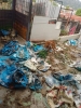 Llevan a audiencia presunto caso de maltrato animal en albergue de Naucalpan #regionmx 